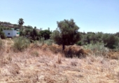 Terreno no urbanizable en venta en la España, Castilblanco de los Arroyos, ref: TR131130 foto