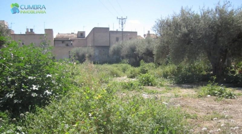 Murcia - Murcia - 671m2