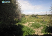 Parcela urbanizable en venta en la España, Murcia, ref: TR131185 foto