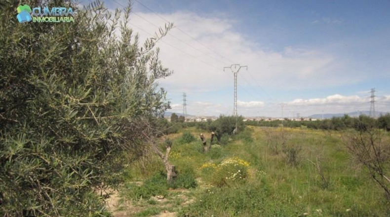 Murcia - Murcia - 671m2