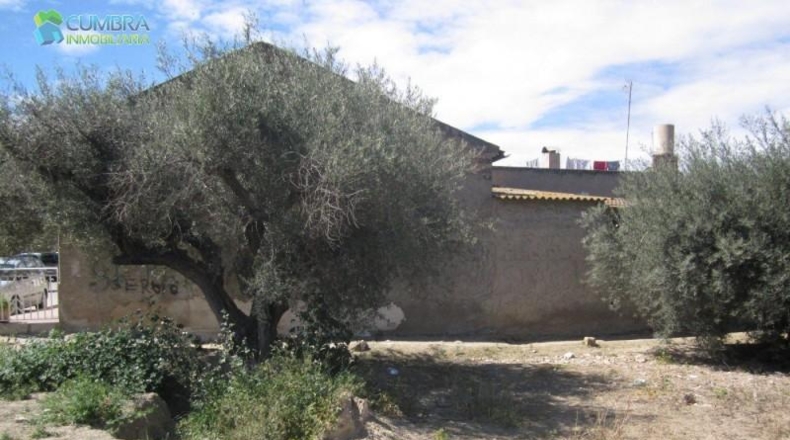 Murcia - Murcia - 671m2