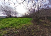 Terreno no urbanizable en venta en la España, Río, ref: TR372984 foto
