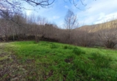 Terreno no urbanizable en venta en la España, Río, ref: TR372984 foto