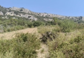 Terreno no urbanizable en venta en la España, Belascoáin, ref: TR366910 foto