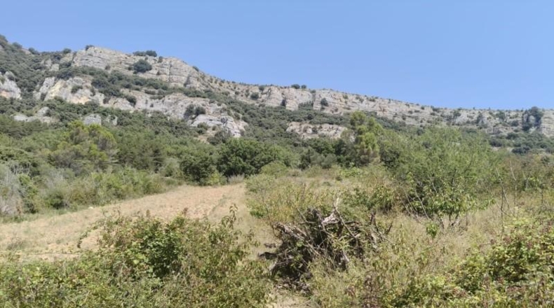 Navarra - Belascoáin - 1124m2