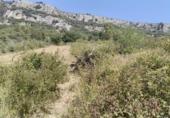 Terreno no urbanizable en venta en la España, Belascoáin, ref: TR366910 foto
