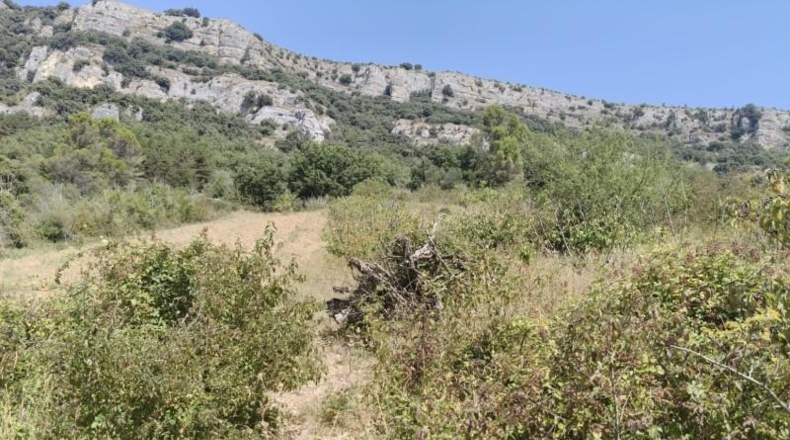 Navarra - Belascoáin - 1124m2