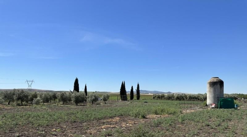 Seville - Las Cabezas de San Juan - 2500m2