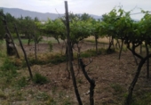 Terreno no urbanizable en venta en la España, Abrucena, ref: TR294278 foto