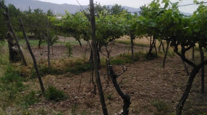 Almería - Fiñana - 2500m2