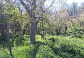 Terreno no urbanizable en venta en la España, Abrucena, ref: TR294278 foto