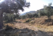 Terreno no urbanizable en venta en la España, Calasparra, ref: TR119449 foto