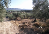 Terreno no urbanizable en venta en la España, Calasparra, ref: TR119449 foto