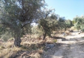 Terreno no urbanizable en venta en la España, Calasparra, ref: TR119449 foto