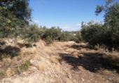 Terreno no urbanizable en venta en la España, Calasparra, ref: TR119449 foto