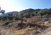 Terreno no urbanizable en venta en la España, Calasparra, ref: TR119449 foto