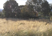 Terreno no urbanizable en venta en la España, Calasparra, ref: TR119471 foto