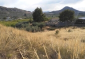 Terreno no urbanizable en venta en la España, Calasparra, ref: TR119471 foto