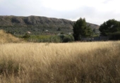 Terreno no urbanizable en venta en la España, Calasparra, ref: TR119471 foto