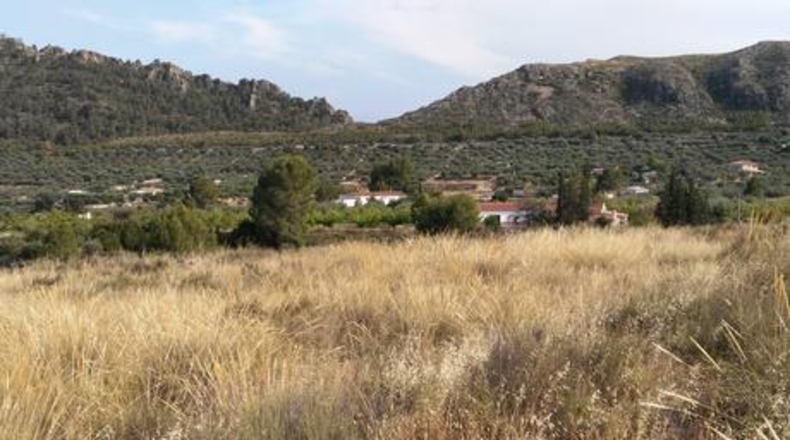 Múrcia - Calasparra - 7974m2