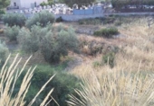 Terreno no urbanizable en venta en la España, Calasparra, ref: TR119471 foto