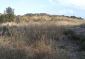 Terreno no urbanizable en venta en la España, Calasparra, ref: TR119471 foto