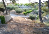 Terreno no urbanizable en venta en la España, Calasparra, ref: TR119471 foto