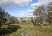 Terreno no urbanizable en venta en la España, Sierra de Fuentes, ref: TR115692 foto
