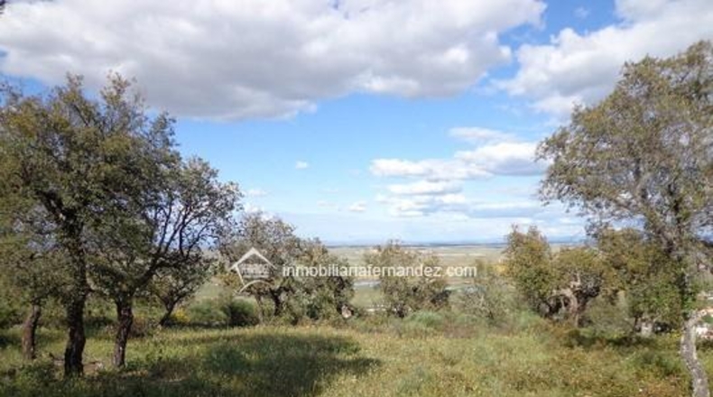 Cáceres - Sierra de Fuentes - 4500m2
