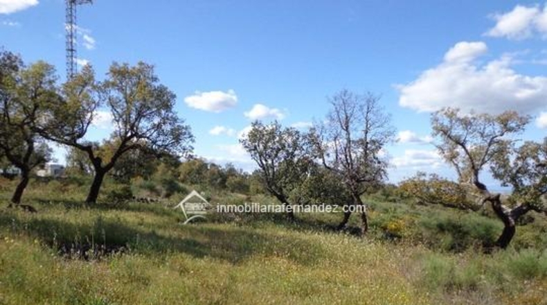 Cáceres - Sierra de Fuentes - 4500m2