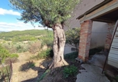Suelo urbano en venta en la España, Calaceite, ref: TR229724 foto