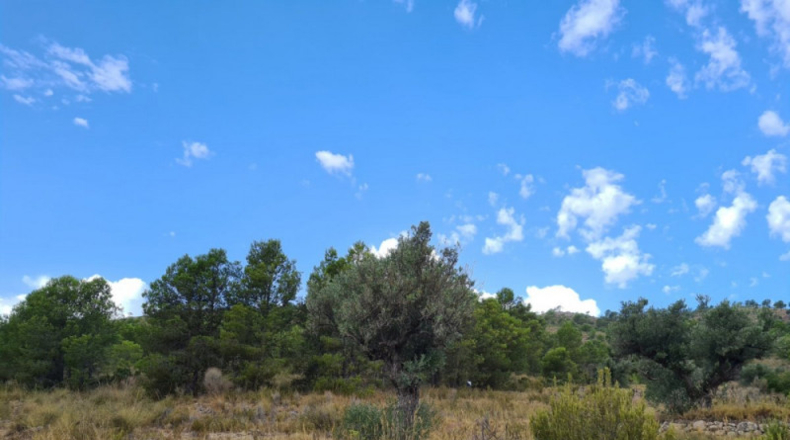 Huelva - Punta Umbría - 13718m2