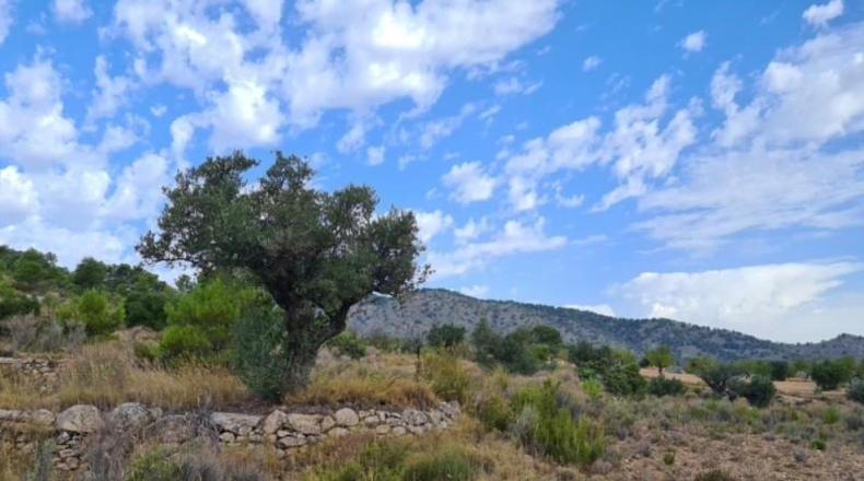Huelva - Punta Umbría - 13718m2
