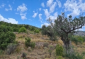 Terreno no urbanizable en venta en la España, Pinoso, ref: TR397147 foto