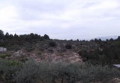 Terreno no urbanizable en venta en la España, Vilafamés, ref: TR121897 foto