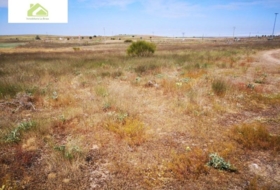 Zamora 7000&nbsp;m²