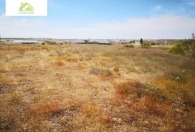 Zamora 7000&nbsp;m²