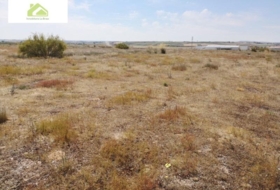 Zamora 7000&nbsp;m²