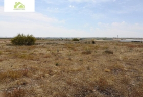 Zamora 7000&nbsp;m²