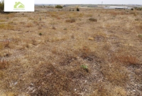 Zamora 7000&nbsp;m²
