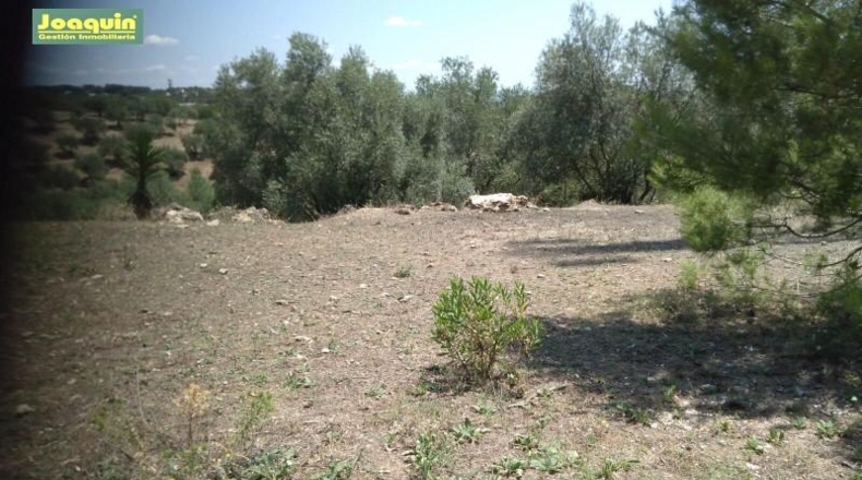 Córdoba - Córdoba - 2710m2