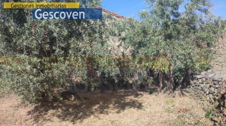 Cáceres - Valencia de Alcántara - 220m2