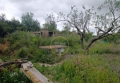 Casa de campo con terreno en venta en la España, Aielo de Malferit, ref: TR404620 foto