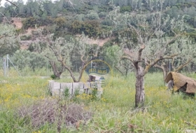 Aielo de Malferit 860&nbsp;m²