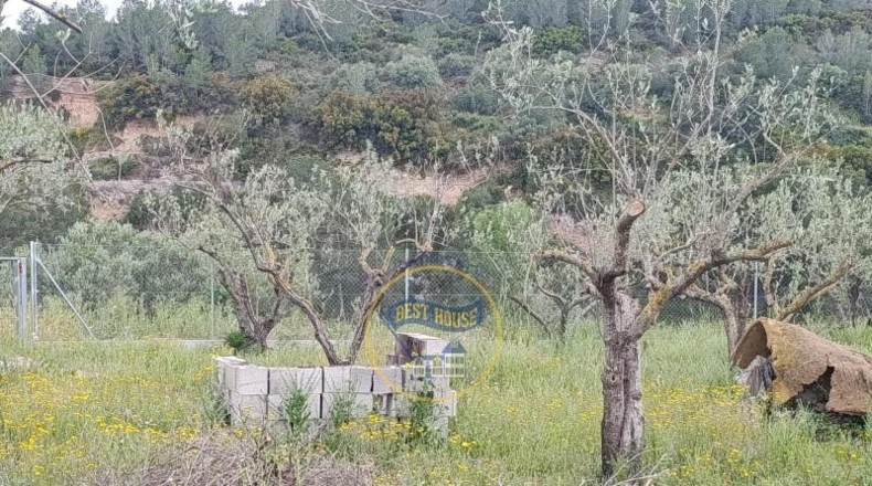 Valencia - Aielo de Malferit - 860m2