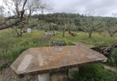 Casa de campo con terreno en venta en la España, Aielo de Malferit, ref: TR404620 foto