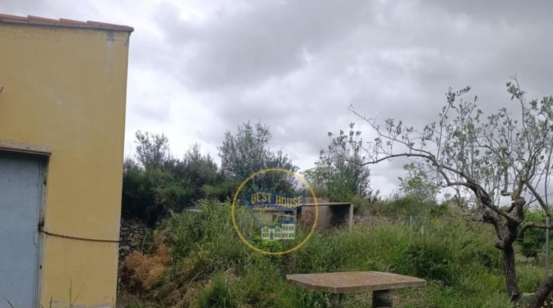 Valencia - Aielo de Malferit - 860m2