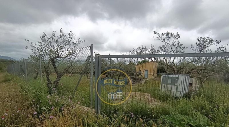 Valencia - Aielo de Malferit - 860m2
