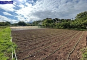 Terreno no urbanizable en venta en la España, Carucedo, ref: TR407339 foto