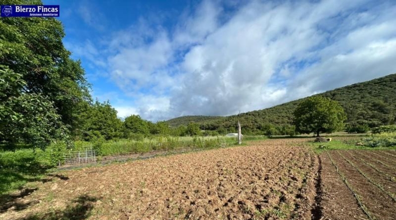 Леон - Carucedo - 1223m2